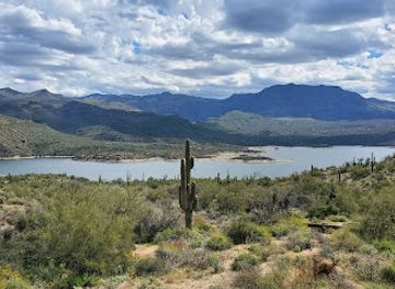 arizona/tonto-national-forest/attraction/bartlett-lake-recreation-area-tonto-national-forest