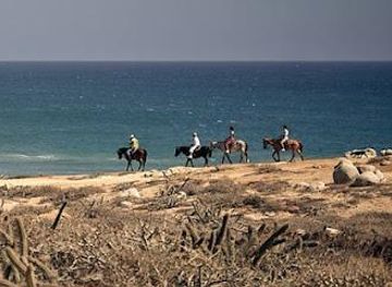 mexico/cabo-san-lucas/attraction/rancho-carisuva