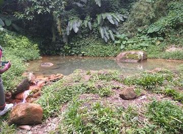 grenada/guava/attraction/clabony-sulphur-spring