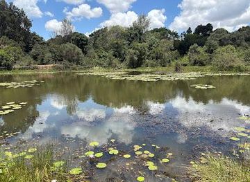 kenya/nairobi/attraction/karura-forest