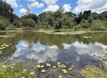 Karura Forest