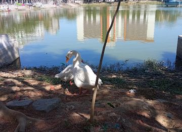india/ranchi/attraction/line-tank-pond