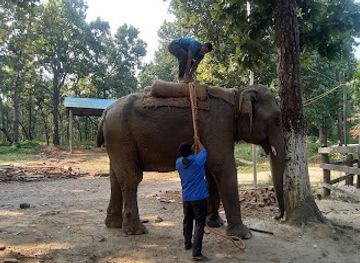 nepal/province-no-2/attraction/parsa-national-park