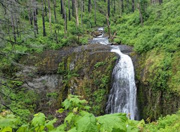 oregon/columbia-river-gorge/attraction/upper-mccord-creek-falls