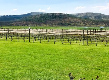 south-africa/drakensberg/attraction/cathedral-peak-wine-estate