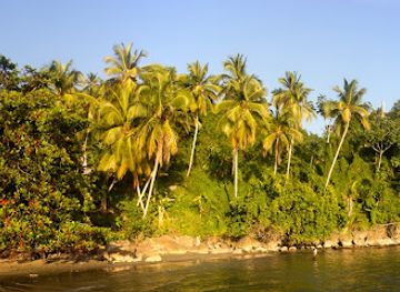 dominican-republic/samana/attraction/los-cacaos-samana