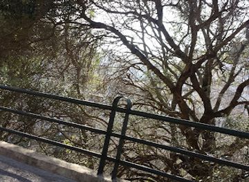 algeria/tell-atlas/attraction/atlas-forest