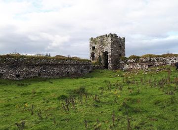 ireland/sligo/attraction/moygara-castle