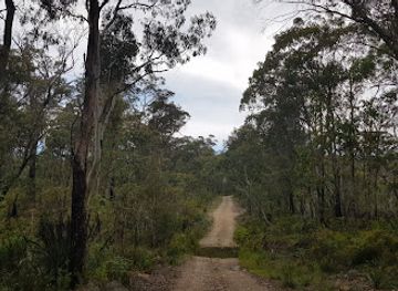 australia/illawarra/attraction/werrikimbe-national-park
