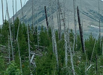 montana/the-lewis-and-clark-national-forest/attraction/lewis-and-clark-national-forest