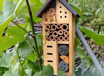 switzerland/nendaz/attraction/domaine-clavien