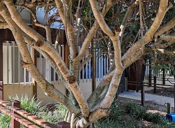 australia/noosa/attraction/peregian-beach