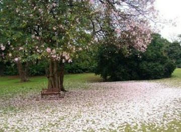 south-africa/durban/attraction/durban-botanic-gardens