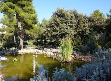 france/aix-en-provence/attraction/jardin-des-5-sens-et-des-formes-premieres-du-1er-juillet-au-30-septembre