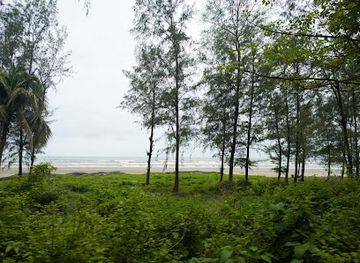 bangladesh/cox-s-bazar/himchori/attraction/himsori-hill