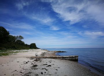 denmark/nyborg/attraction/abent-skovareal-ved-nyborg