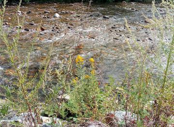 vermont/sugarbush-resort/attraction/kingsbury-greenway-wabanaki-conservation-area-parking