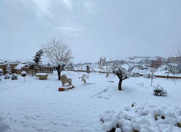 lebanon/baalbek/attraction/michael-mcevoy-s-garden