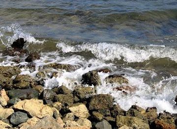 puerto-rico/manati/attraction/isla-de-cabras