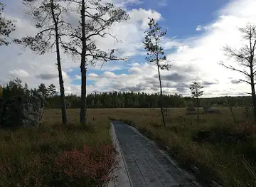 Kärnskogsmossen