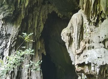 vietnam/phong-nha-ke-bang-national-park/attraction/elephant-cave