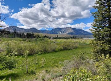 california/lake-tahoe/attraction/taylor-creek-boardwalk