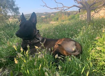 lebanon/koura/attraction/la-casa-de-milo