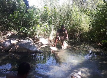 zambia/blue-lagoon-national-park/attraction/mumbwa-hot-spring