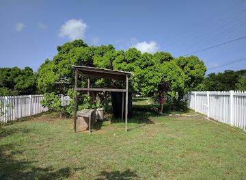 british-virgin-islands/anegada/attraction/s-vanessa-faulkner-botanical-garden