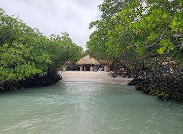 aruba/sero-blanco/attraction/mangel-halto-beach