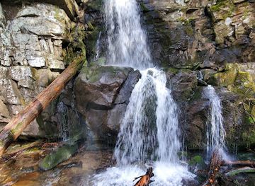 tennessee/fall-creek-falls-state-park/attraction/baskins-creek-falls