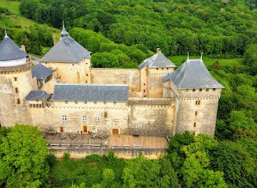 germany/moselle/attraction/malbrouck-castle