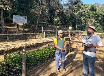 madagascar/andasibe/attraction/project-manondroala