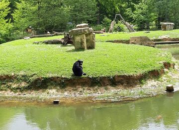france/ile-de-france/attraction/zoo-du-bois-d-attilly