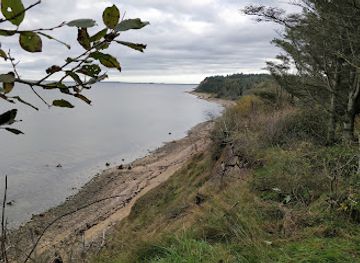 denmark/limfjord/attraction/smalsporslokomotiver