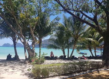 thailand/koh-phi-phi/attraction/schattiger-alter-baum-am-strand