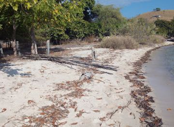 indonesia/komodo-national-park/attraction/gardena-property