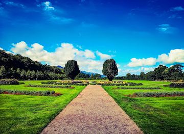 ireland/the-kerry-way/attraction/killarney-house