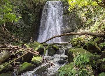 new-zealand/otago/attraction/matai-falls