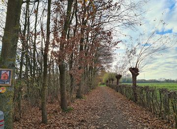 belgium/hasselt/attraction/tommelen