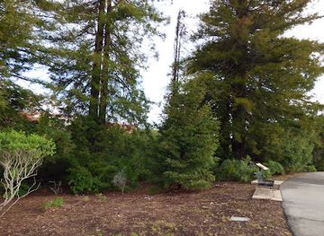 california/redwood-national-and-state-parks/attraction/wayburn-redwood-grove