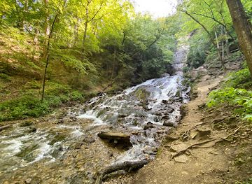 Dunning's Spring Park