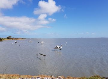 australia/coorong/attraction/meningie-museum-inc