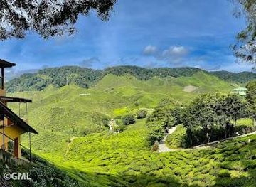 malaysia/cameron-highlands/attraction/cameron-bharat-plantation-sdn-bhd