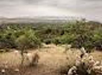 argentina/salta/attraction/mirador-sendero-de-la-cruz