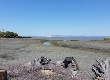 california/san-mateo/attraction/city-of-burlingame-shorebird-sanctuary