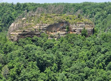 kentucky/red-river-gorge-geological-area/attraction/sky-bridge-arch