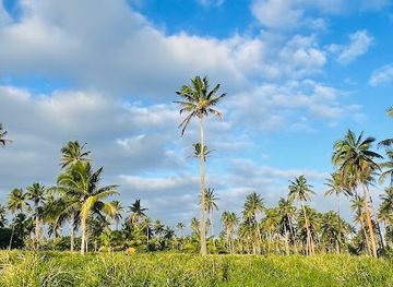 tonga/pangaimotu/attraction/hopohiva-secret-beach