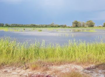 france/camargue/attraction/reserve-petit-rhone