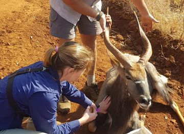 south-africa/lowveld/attraction/livingstone-experience